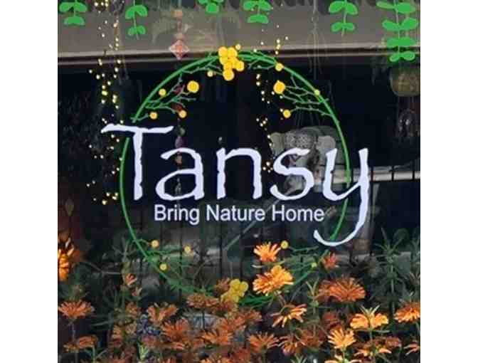 Tansy - $40 Gift Certificate