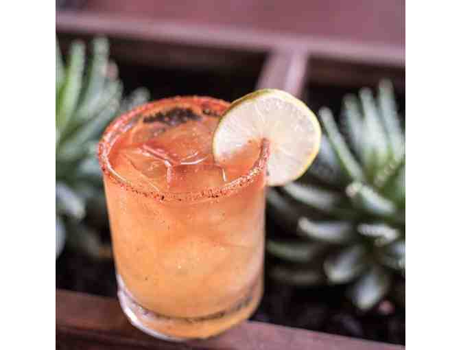 Stout $75 Gift Certificate