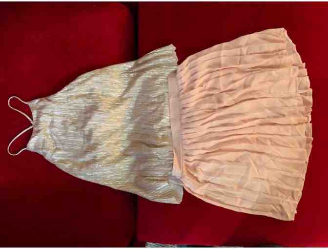 Dance Moms Episode 719 - Pink Skirt with Gold Top