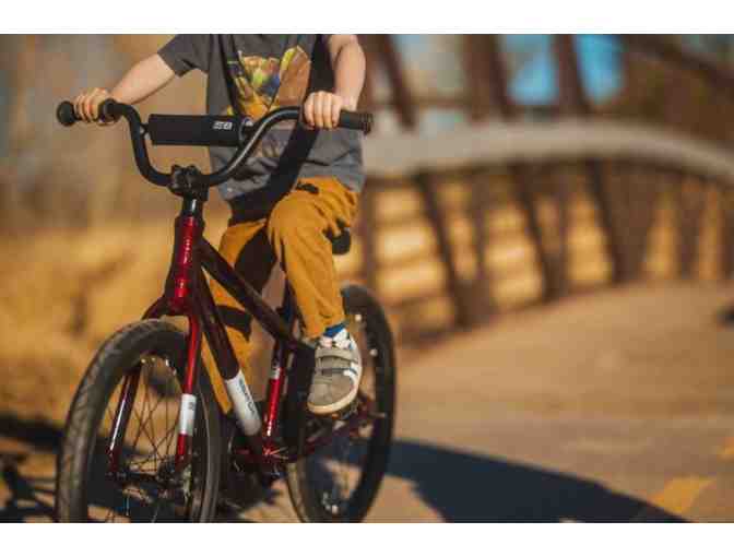 Batch Kids Bike, The Kid's 20' Bike, Gloss Vapor Gray