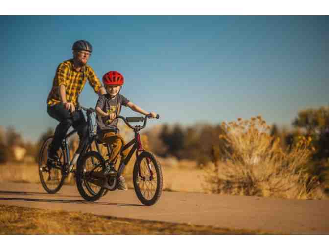 Batch Kids Bike, The Kid's 20' Bike, Gloss Vapor Gray