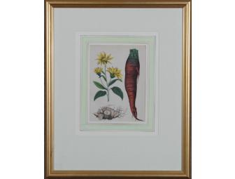 'Flower and Root Vegetables' early 19th century