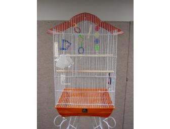 Parakeet cage with a certificate for a baby parakeet!