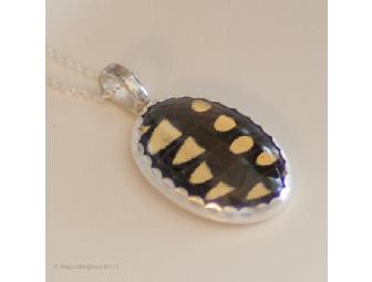 African Swallowtail Butterfly Pendant by Kevin Clarke of Bug Under Glass