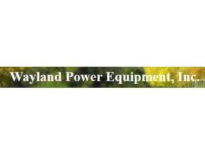 $100 gift certificate to Wayland Power Equipment