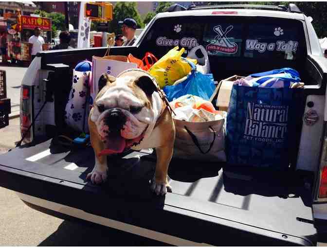 Give a Gift, Wag a Tail RIDE the PAW EXPRESS Experience