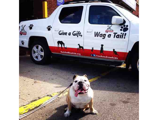 GIVE A GIFT, WAG A TAIL