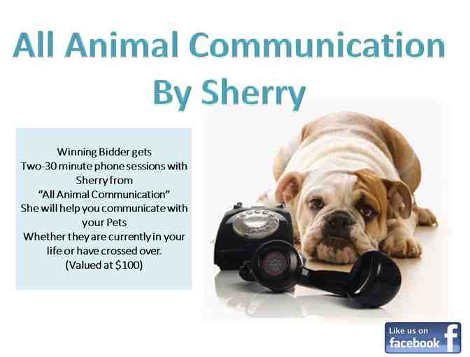 All Animal Communication by Sherry