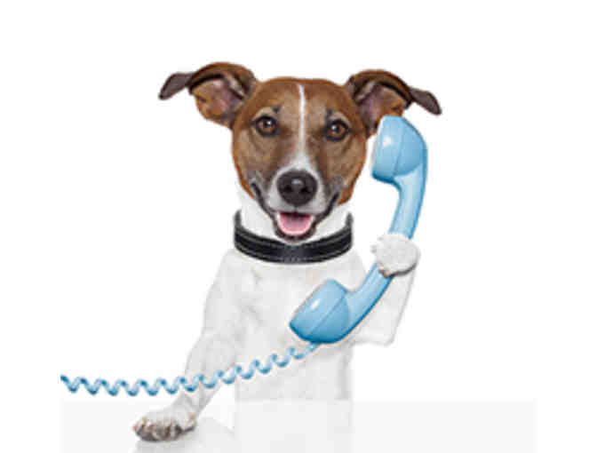 All Animal Communication by Sherry