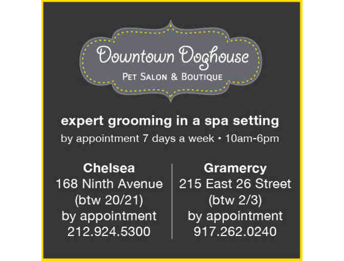 Downtown Doghouse Bath Club