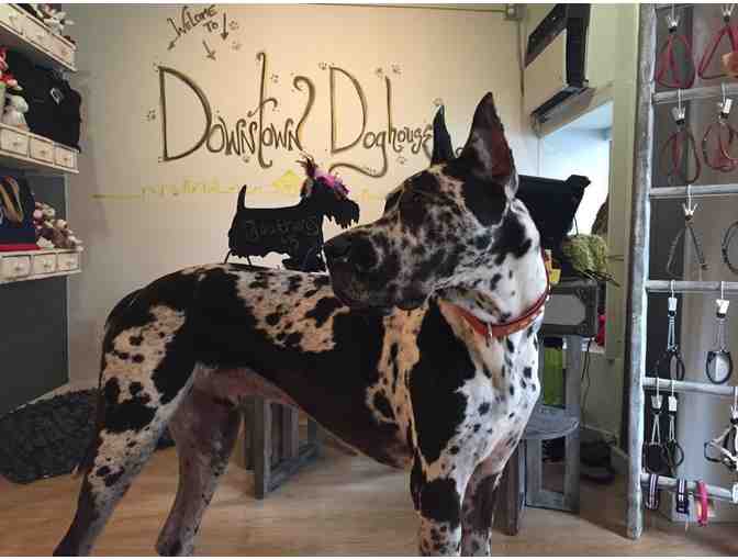 Downtown Doghouse Deluxe Grooming