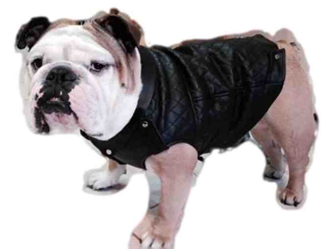 CoolBlueDog Black Leather Motorcycle Jacket