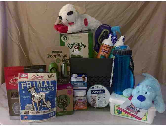 Chewy.com Doggy Gift Basket