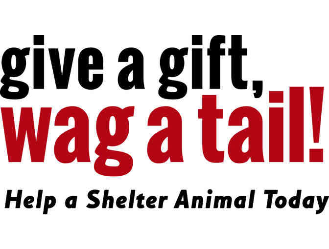Sponsor Holiday Treats for Shelter Animals