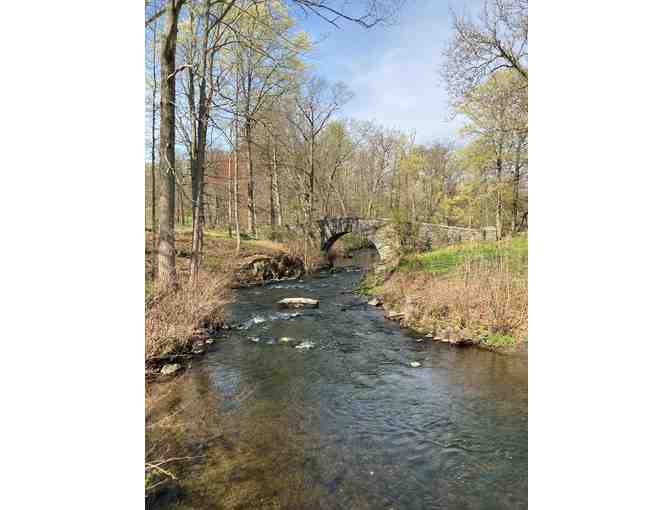 STRETCH ZONE: A Fall Day in the Lower Hudson Valley for Four