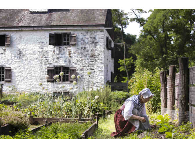STRETCH ZONE: A Fall Day in the Lower Hudson Valley for Four