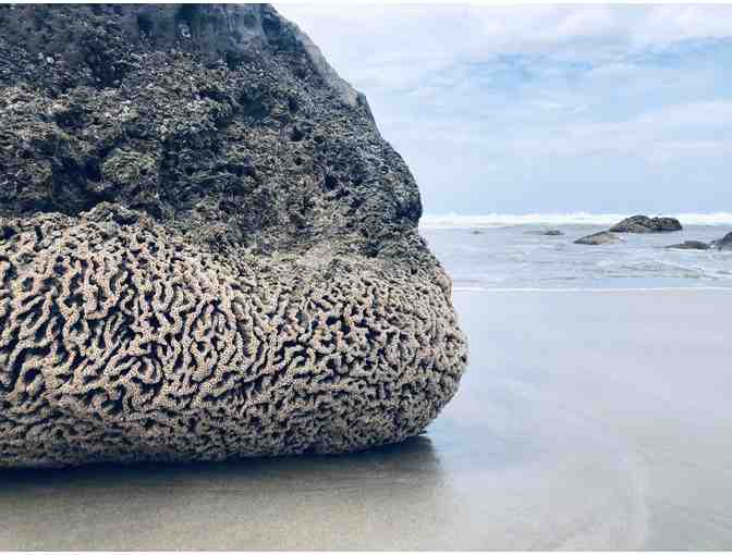 WHERE THE MAGIC HAPPENS: Six Nights, Seven Days in Nicaragua