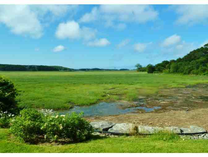 Let Lobsta Land Fix Dinner Tonight!