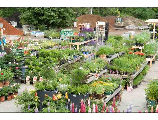 Wolf Hill Garden Center $50 gift certificate -just what the garden enthusiast needs!