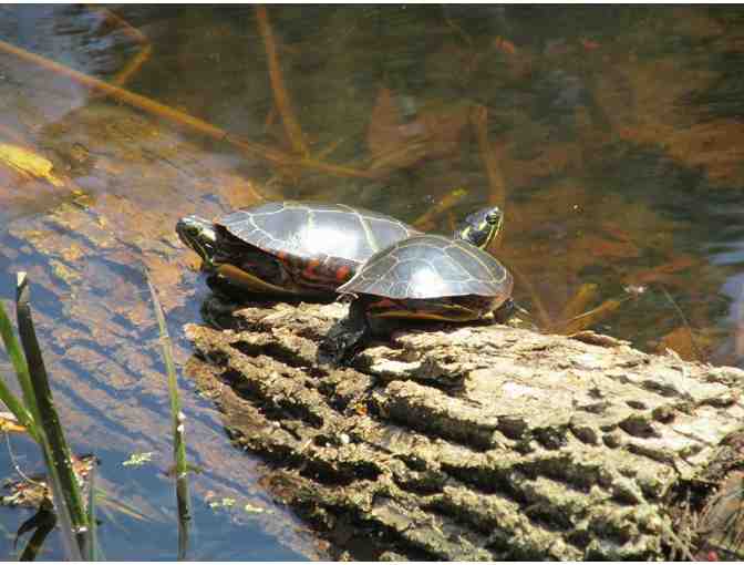 Enjoy a Wonderful Day with These 4 Passes to Garden in the Woods!