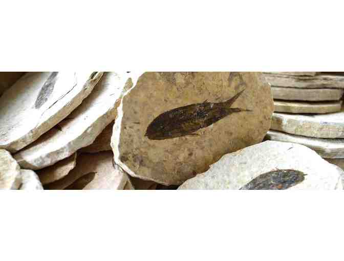 Village Silversmith - Beautiful Handcrafted Jewelry!