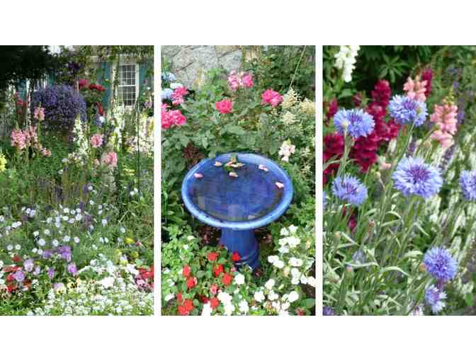 Rockport's 2015 Garden Club Tour