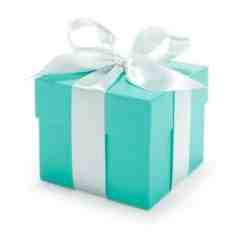 Anonymous Private Platinum Sponsor