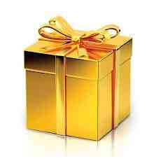 Anonymous Gold Sponsor