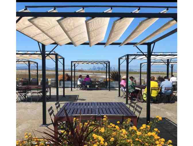 Two Wine Flights at Dashe Cellars