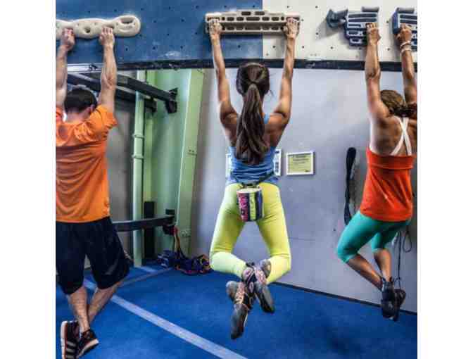 Climbing Lessons + Day Passes at Movement