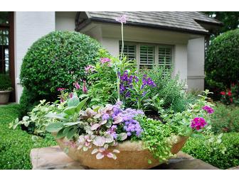 Blair Ferris Designs: Landscape Design Consultation