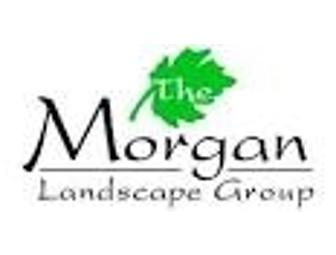 On-Site Landscape Consultation + Elegant Garden Containers