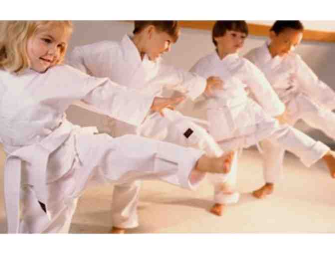 Karate Pro DoJo, 2 Months of Karate Classes, 1 Private Lesson and Uniform
