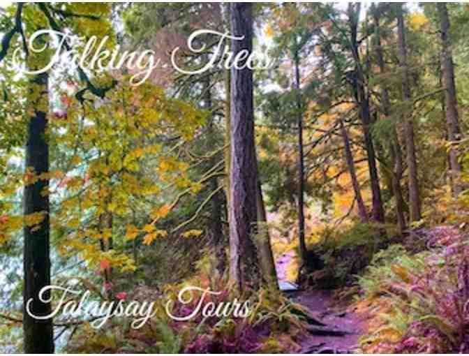 Talking Trees: Walking Tour for 4