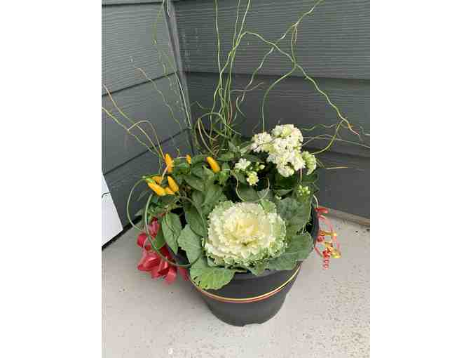 B&K Garden and Landscape Supply donated a Fall foliage planter + $50 B&K Gift Card