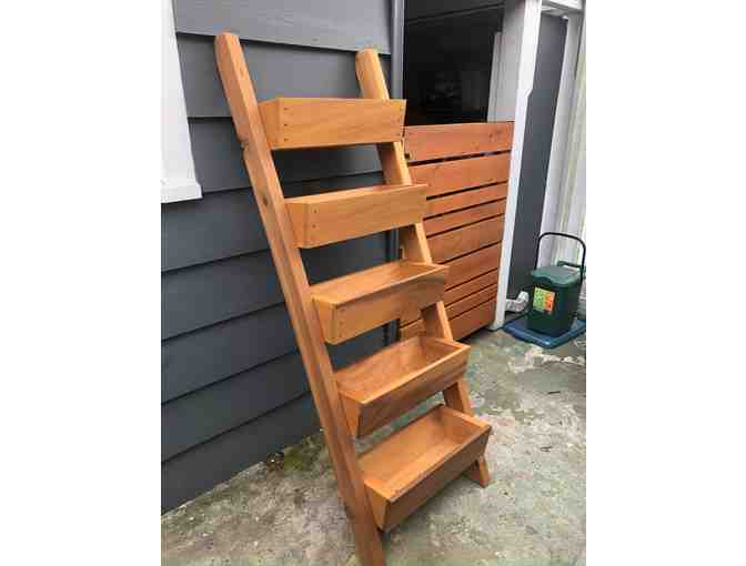 Cedar 5-tiered ladder planter