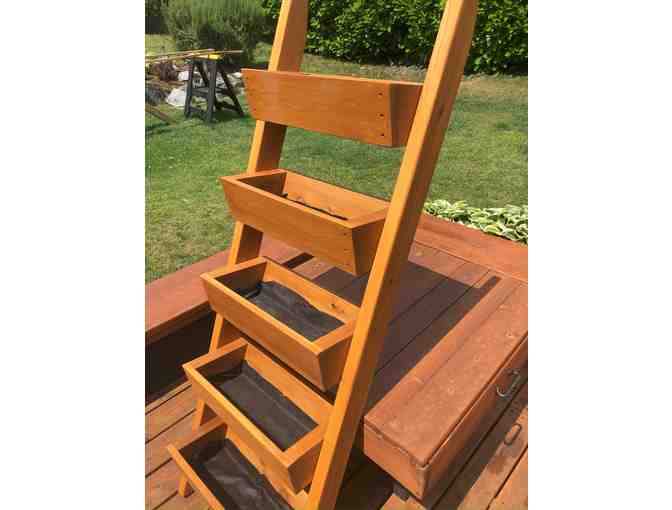 Cedar 5-tiered ladder planter