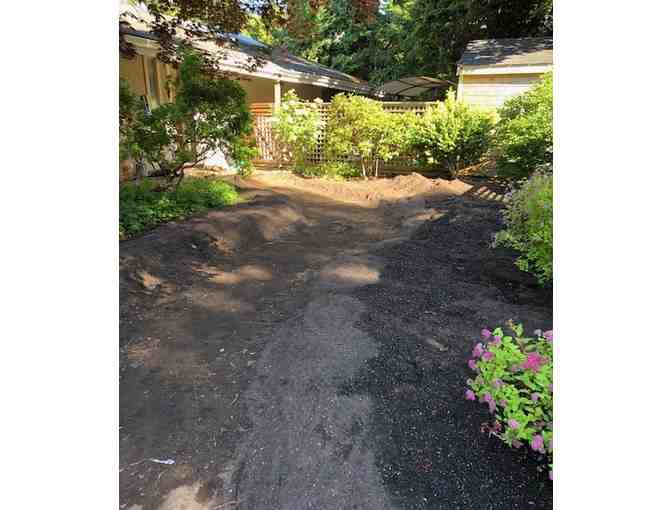 Garden Design and Labour - 5 hours: Value $250