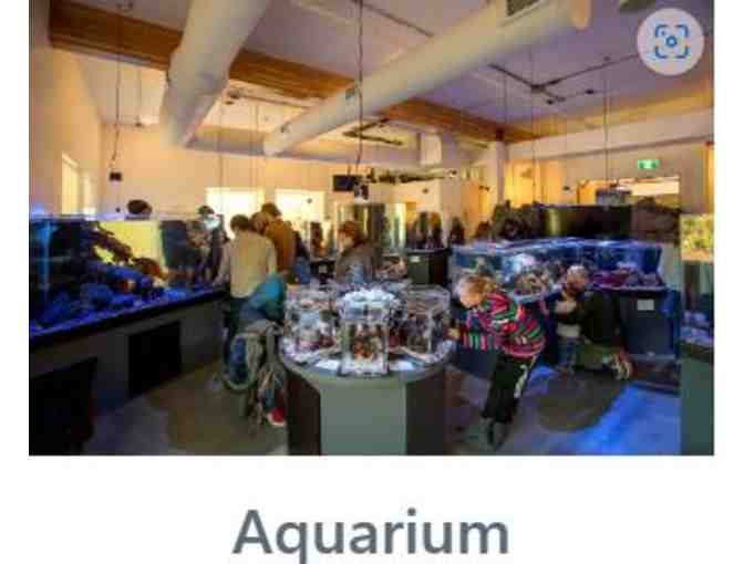 Gibsons Public Market - Coastal Room Rental