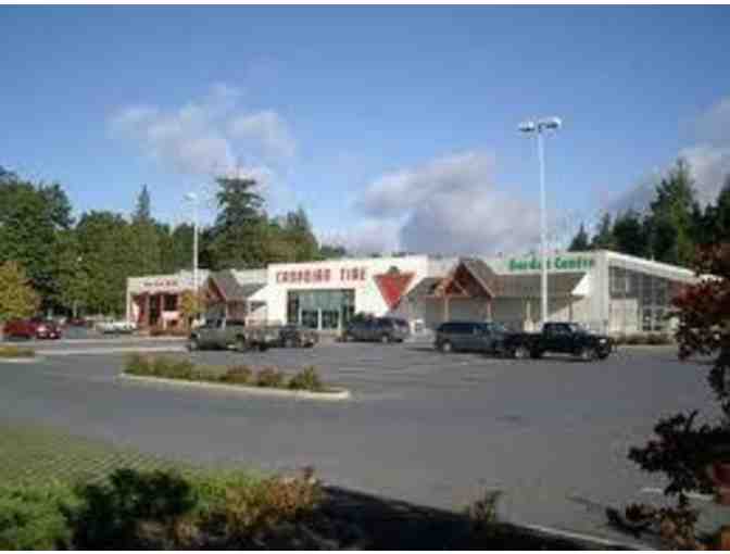 Canadian Tire -Dayson ball animal 2 Pro Vacuum Cleaner