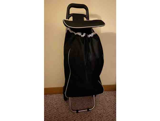 Shopping Buggy from Sechelt Insurance Agency