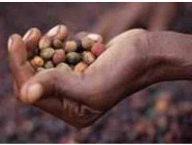 Starbucks Gift Basket -Value $150