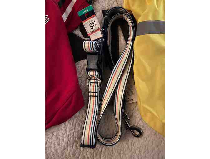 Bundle 1 For A Dog - Value $135