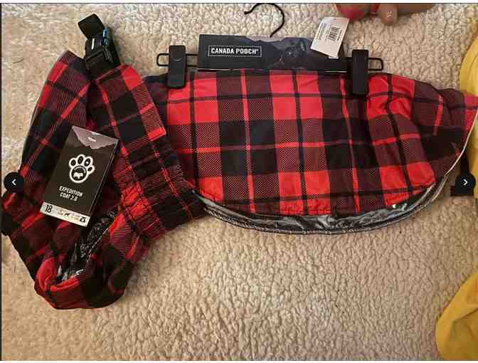 Bundle 2 For A Dog - Value $70