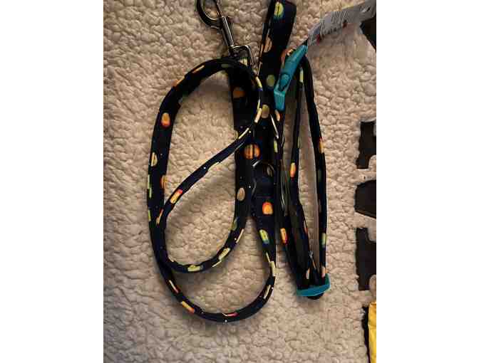 Bundle 2 For A Dog - Value $70