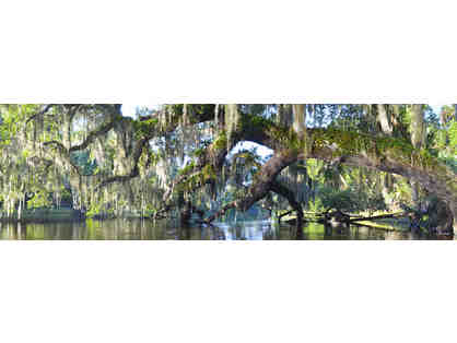 Panoramic Photograph of St. Johns River on Canvas