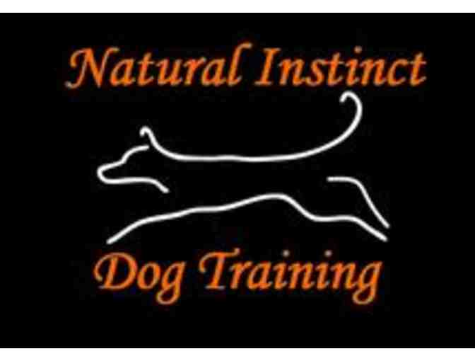 6 Dog Obedience/Agility Group Classes