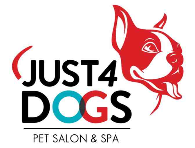 Doggy Spa Day at Just 4 Dogs-Full Groom/ w Seasonal Spa Upgrade
