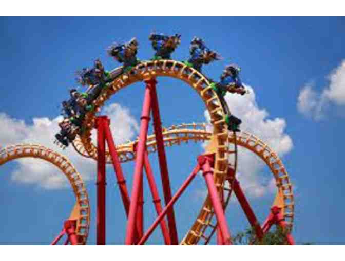 Four (4) Single Day Tickets to Busch Gardens, Tampa, Florida
