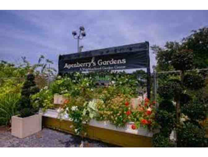 Apenberry's Gardens Gift Card $50 - Photo 3